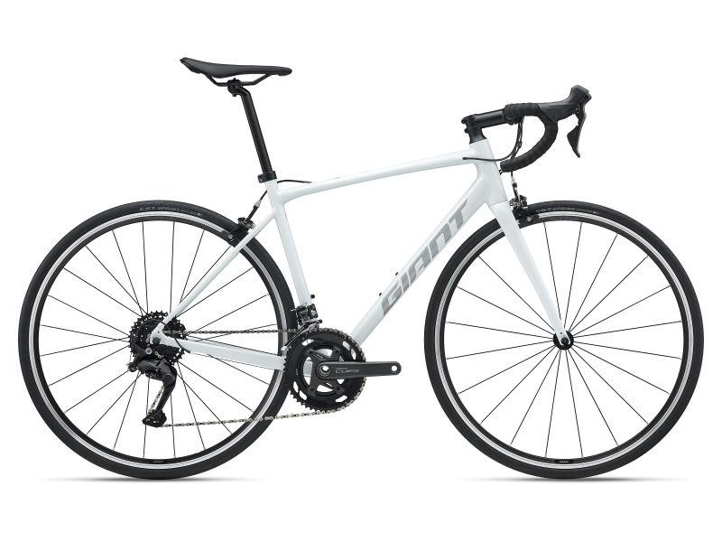 Giant Contend 1