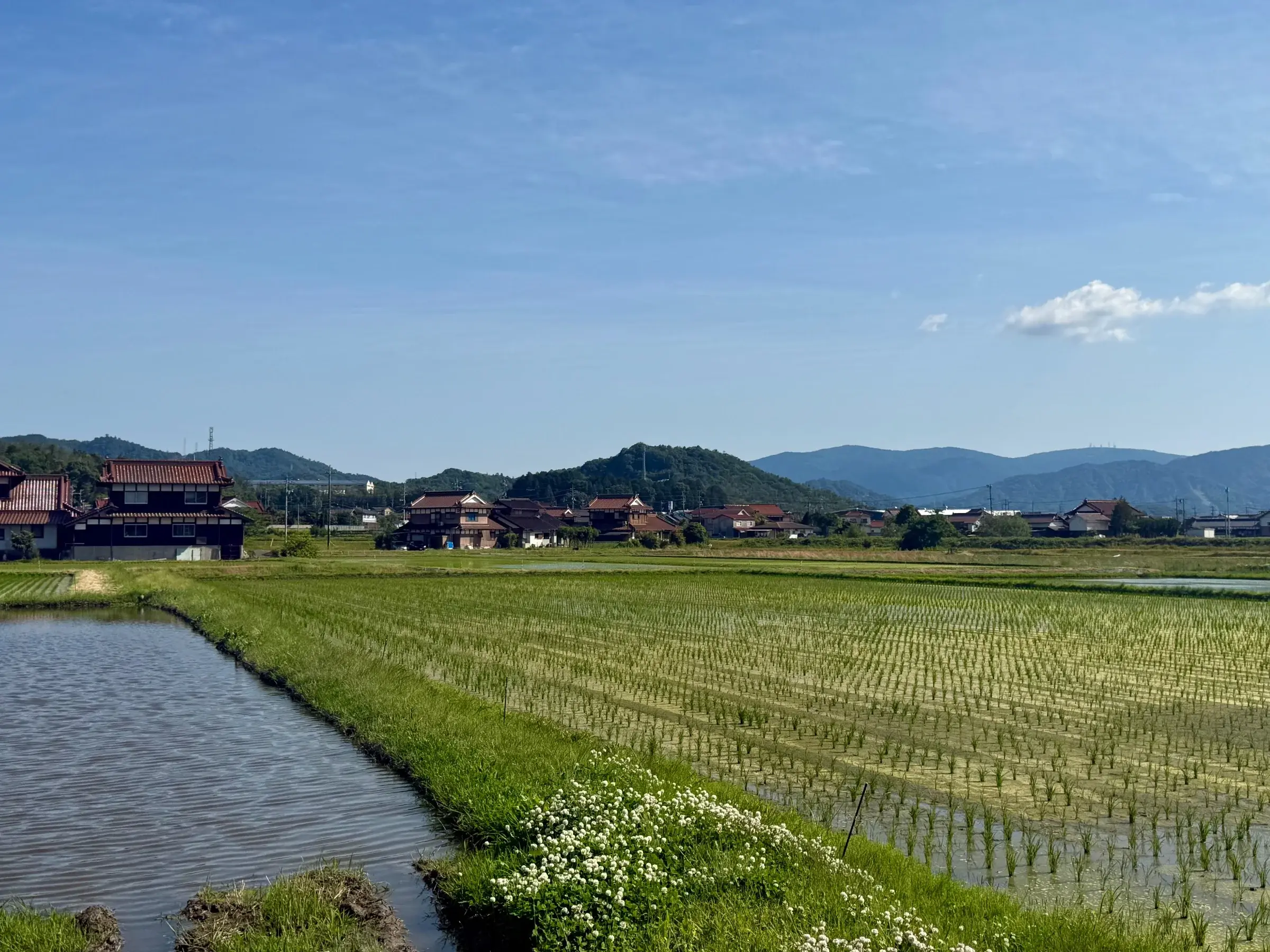 I loved the traditional Japanese architecture along the rice farms