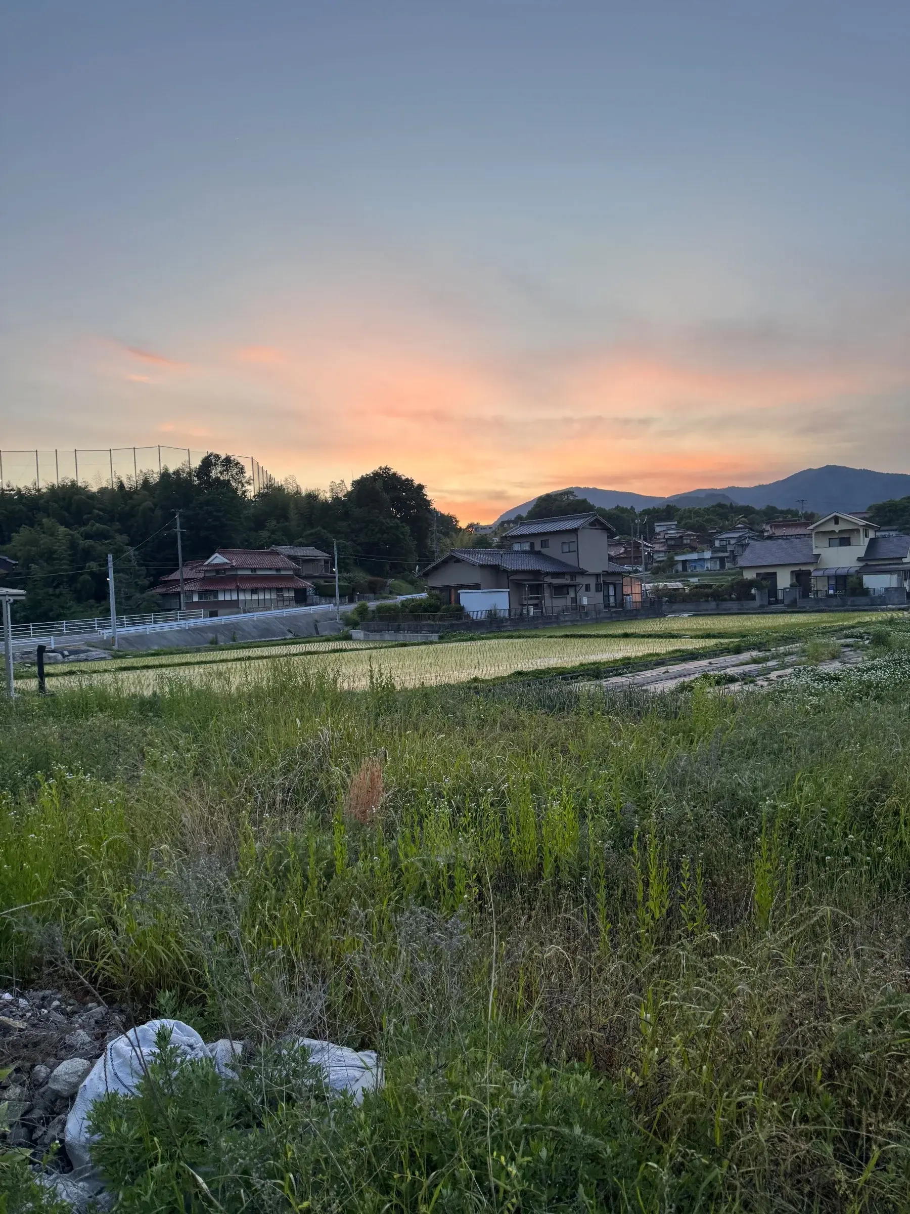 Trip photo