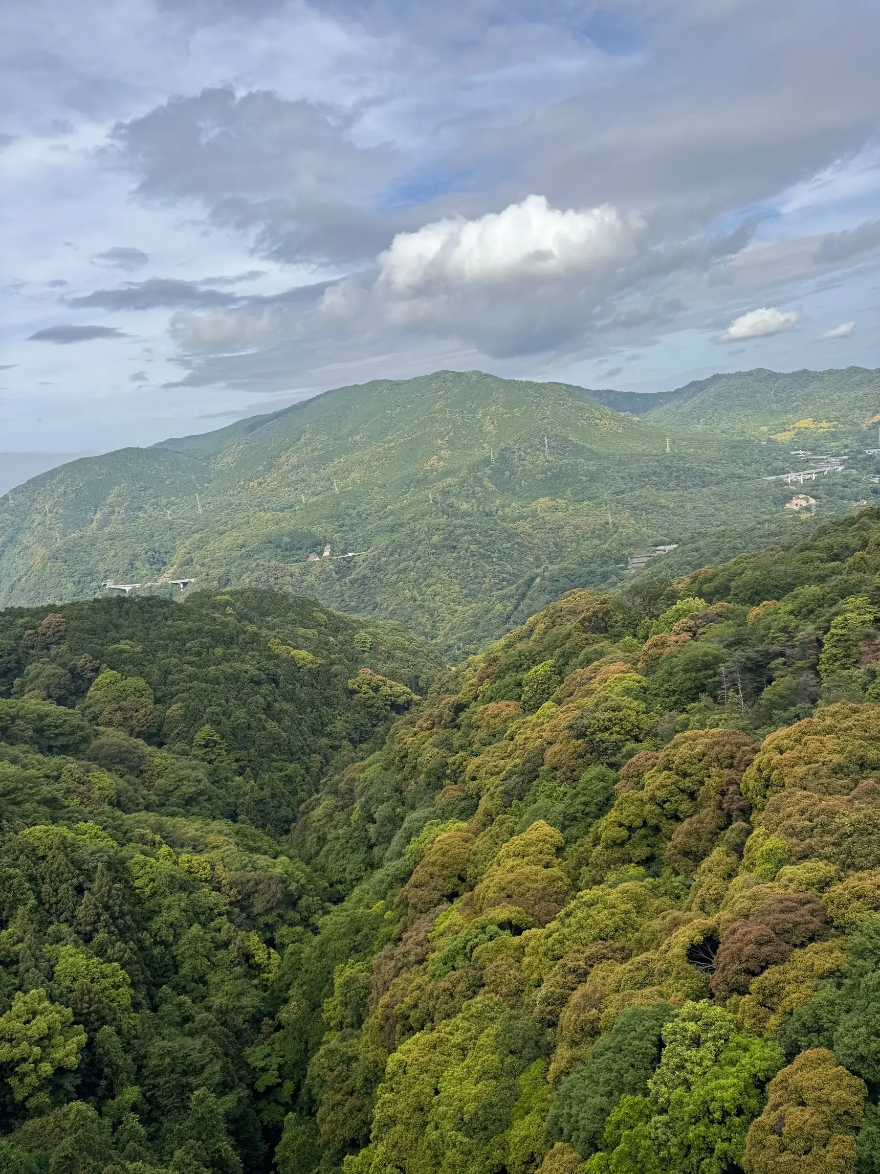 Taken during the Mount Noro climb. Looks like broccoli!
