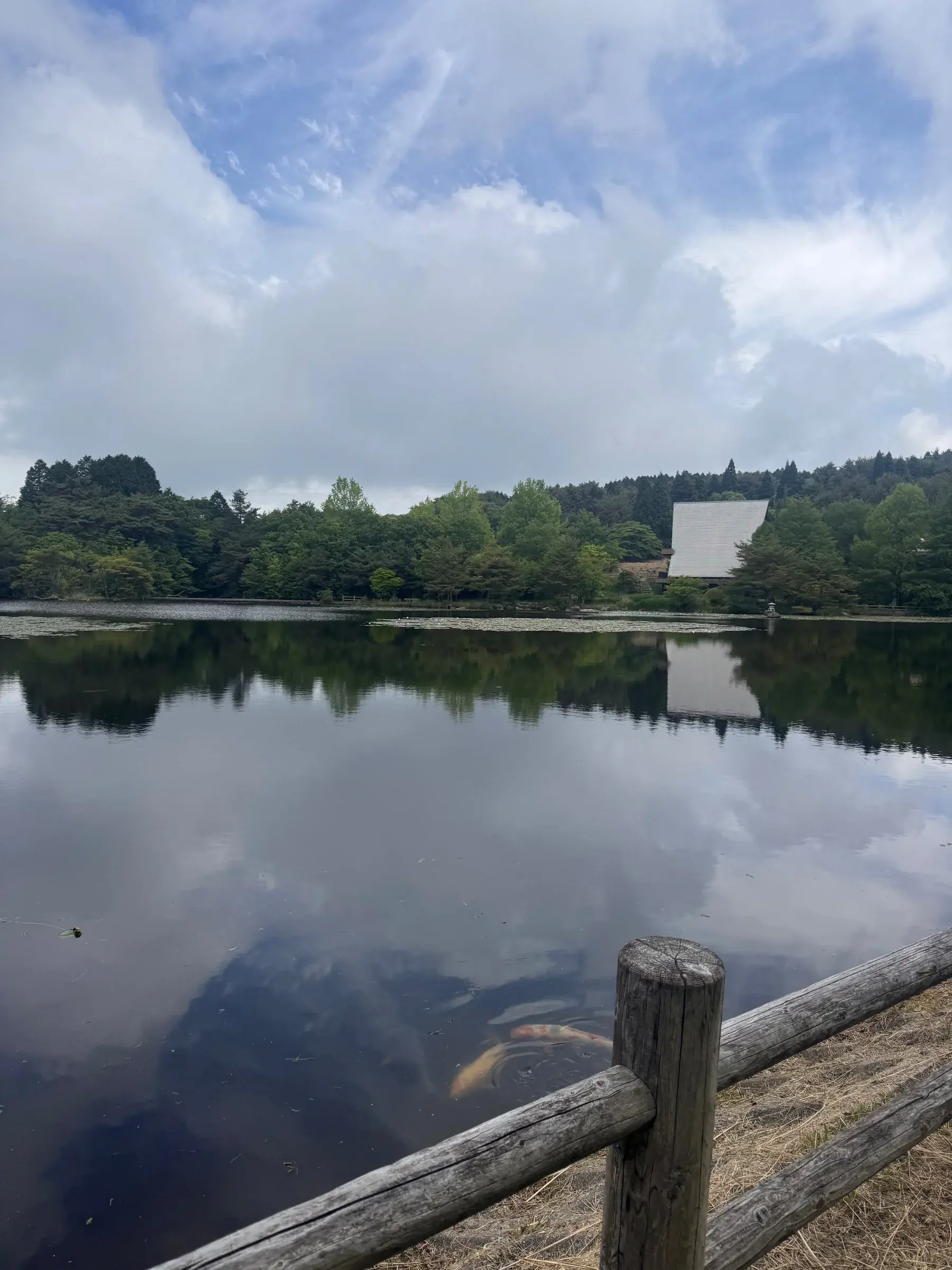 Lake near the top. There’s koi fish swimming around! It’s weird seeing them in the wild