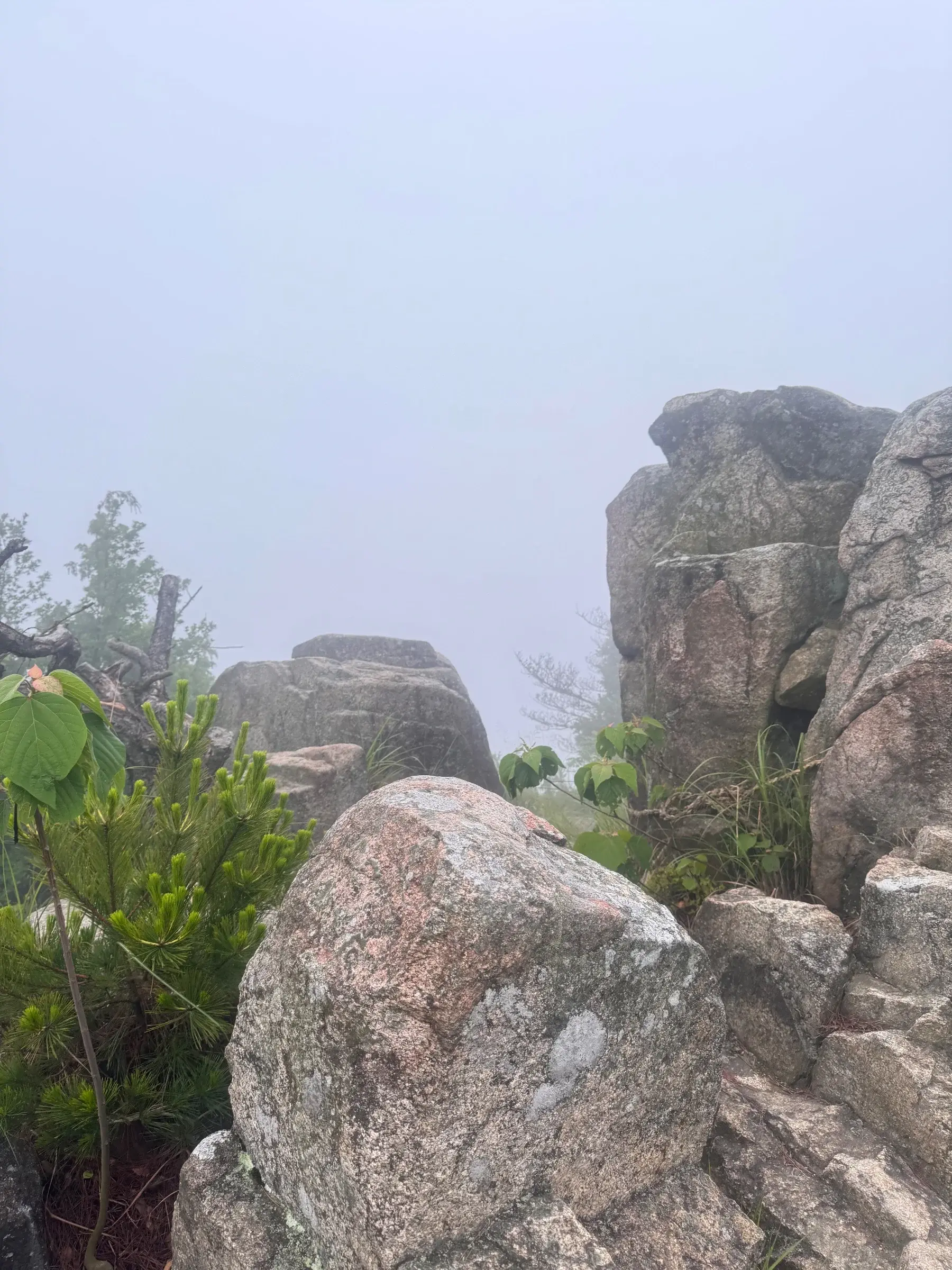 Mount Noko on Hakata island. I’m sure it’s a grand view behind the mist