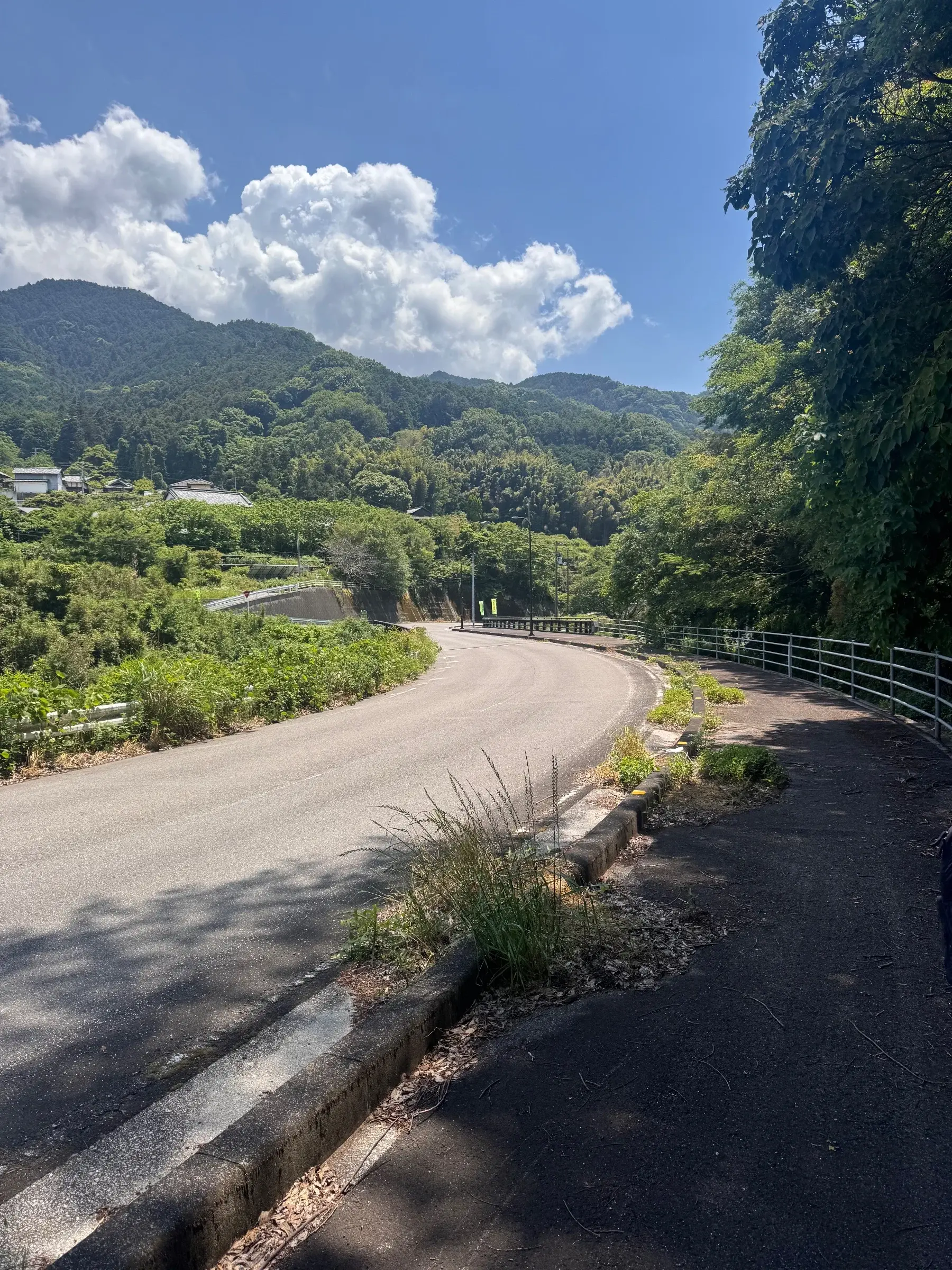 Trip photo
